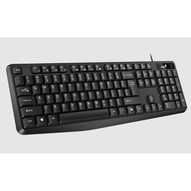 TECLADO GENIUS KB117 USB NEGRO